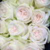 купить белые розы