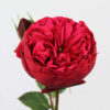 купить розы дешево в москве с доставкой