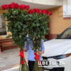 метровые розы купить в москве