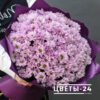 19 фиолетовых хризантем