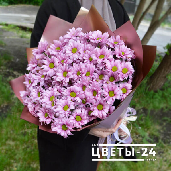 9 фиолетовых хризантем