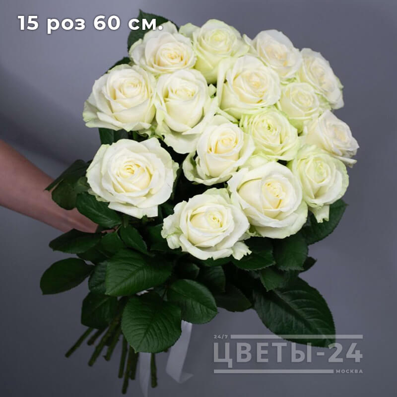 белые розы купить в Москве